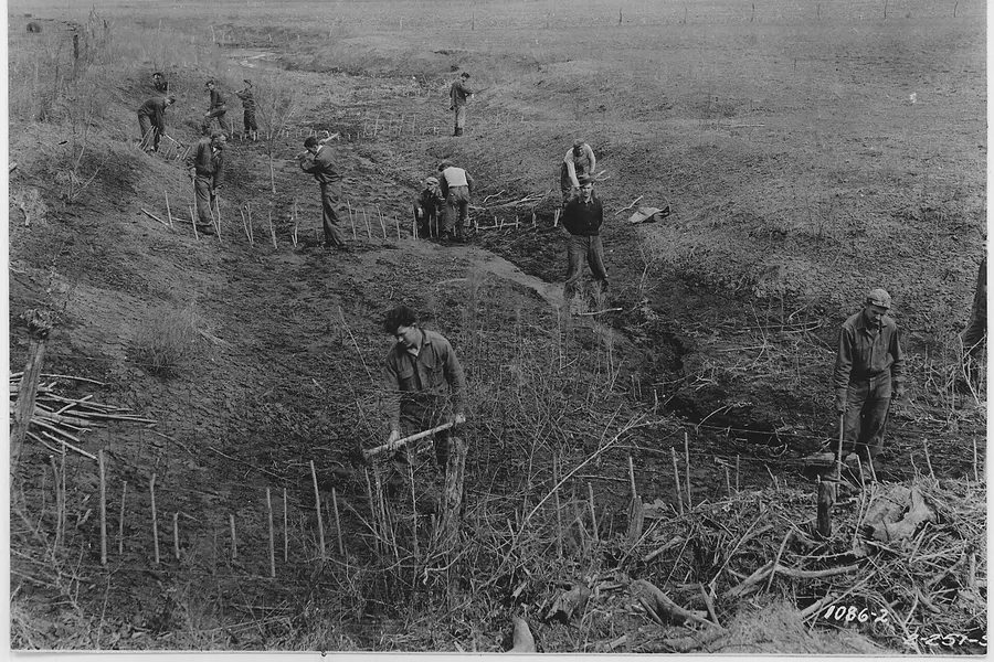 The CCC builds the forest you use