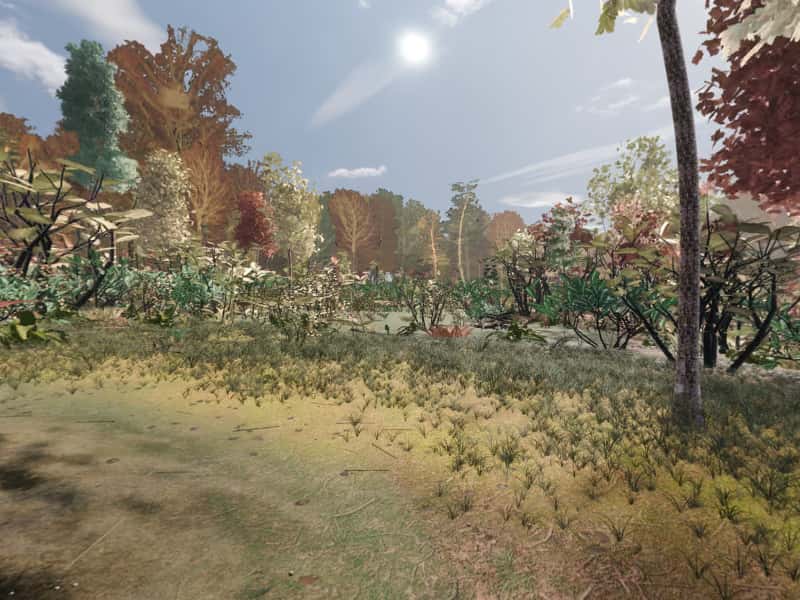 Modeled view from campsite 31, Green Ridge State Forest: the terrain, sky and sun computed for 22 October, facing the sunrise. Not a photograph.