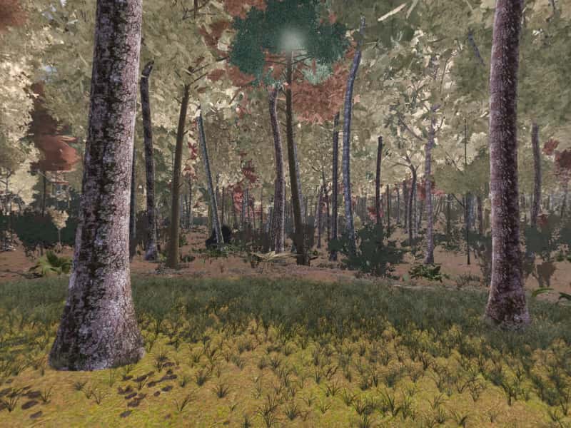 Modeled view from campsite 40, Green Ridge State Forest: the terrain, sky and sun computed for 22 October, facing the sunrise. Not a photograph.