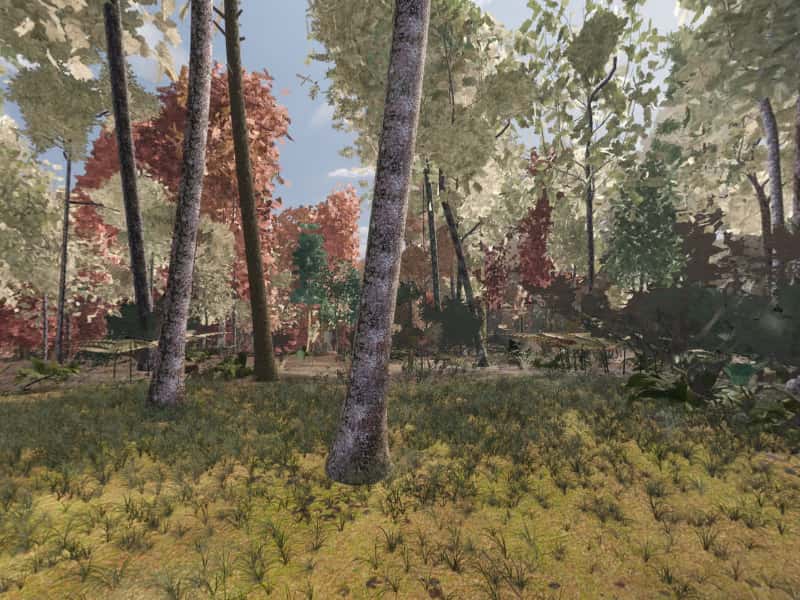 Modeled view from campsite 48, Green Ridge State Forest: the terrain, sky and sun computed for 22 October, facing the sunrise. Not a photograph.
