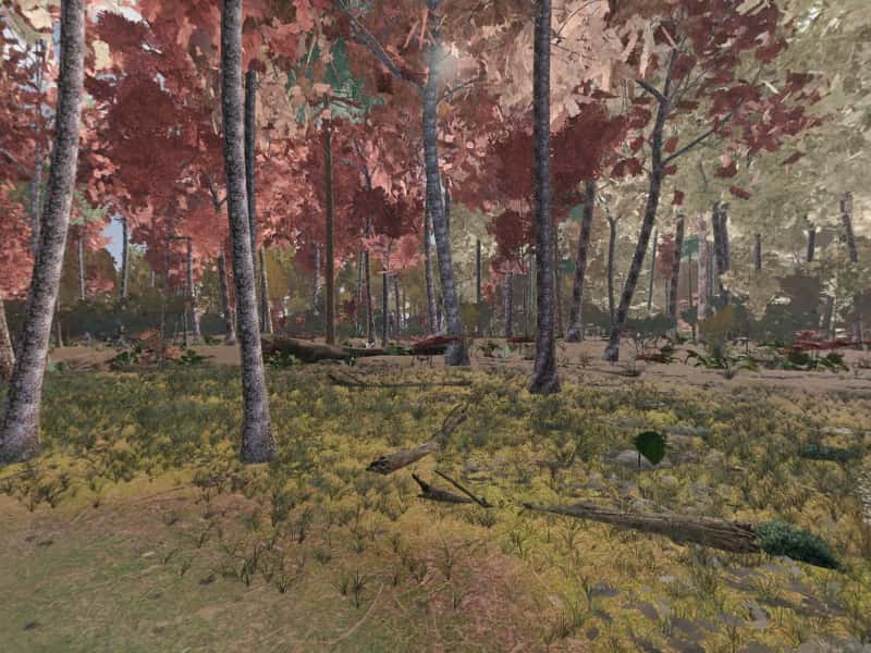 Modeled view from campsite 68, Green Ridge State Forest: the terrain, sky and sun computed for 22 October, facing the sunrise. Not a photograph.