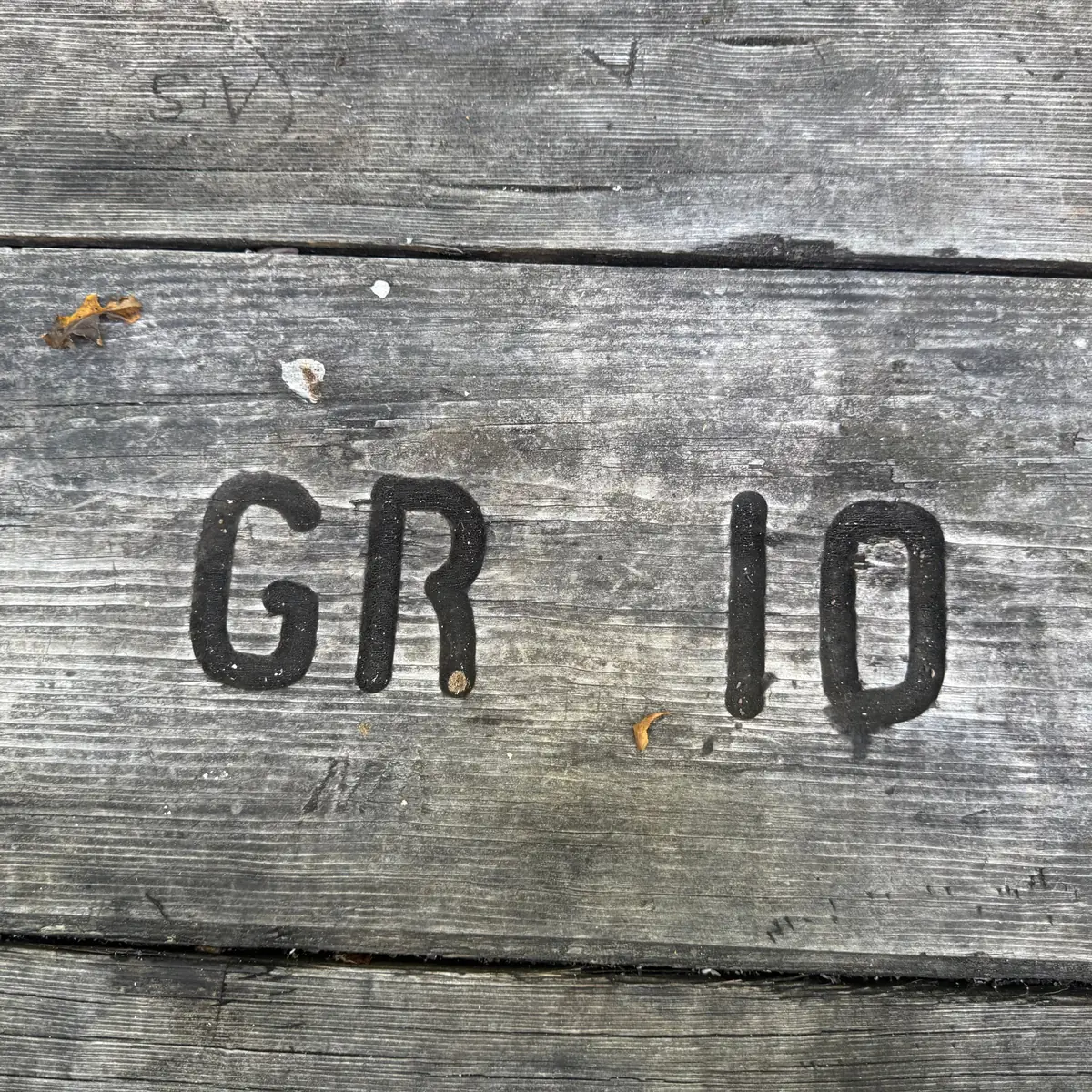 Campsite 10 at Green Ridge State Forest: the picnic table, stencilled GR 10, on a level pitch under hardwoods.