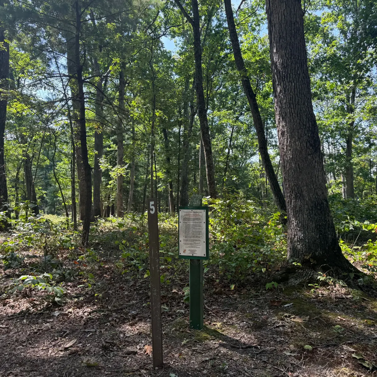The site 5 marker post and information kiosk at the entrance to campsite 5.