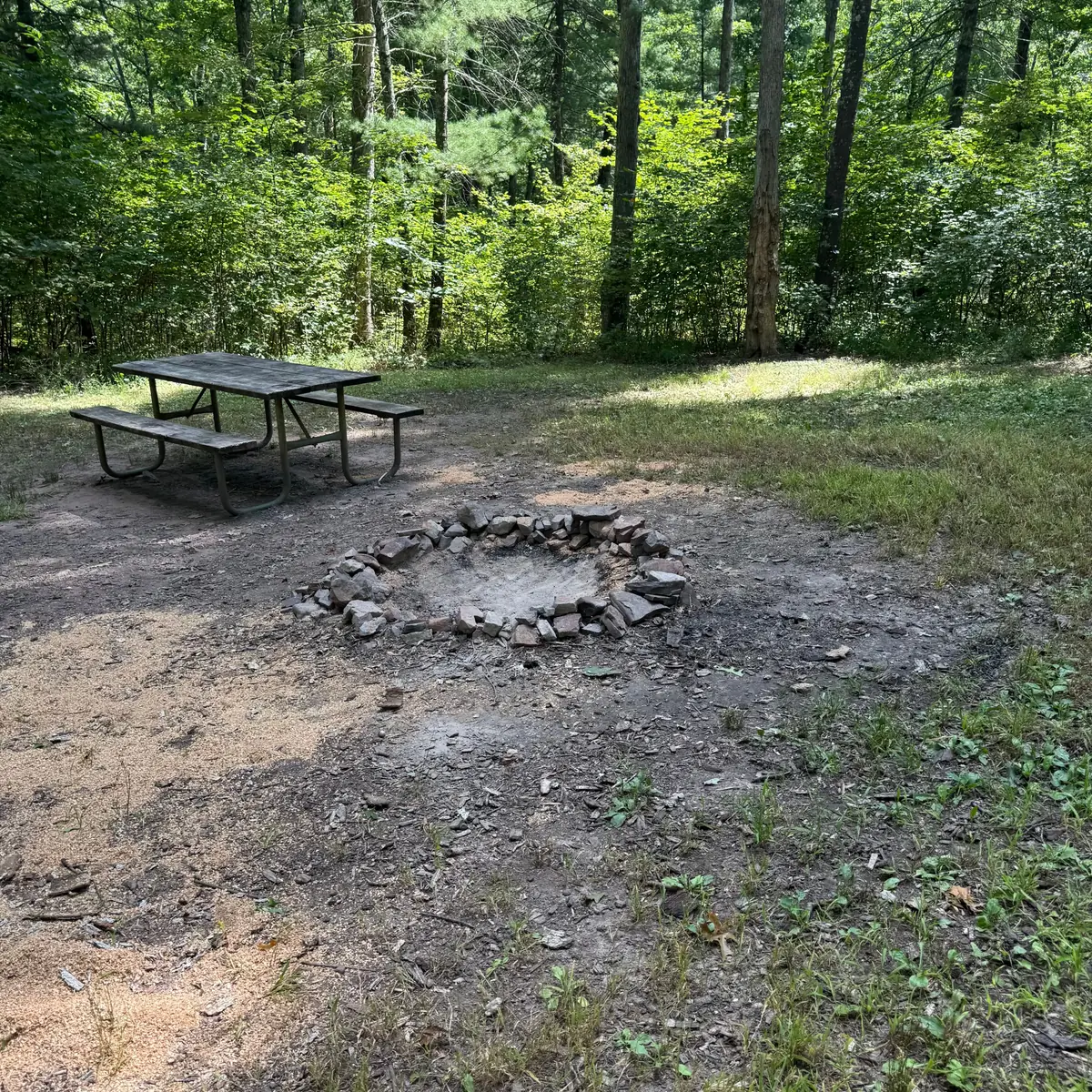 Campsite 55 at Green Ridge State Forest: the fire ring and picnic table on the pitch.