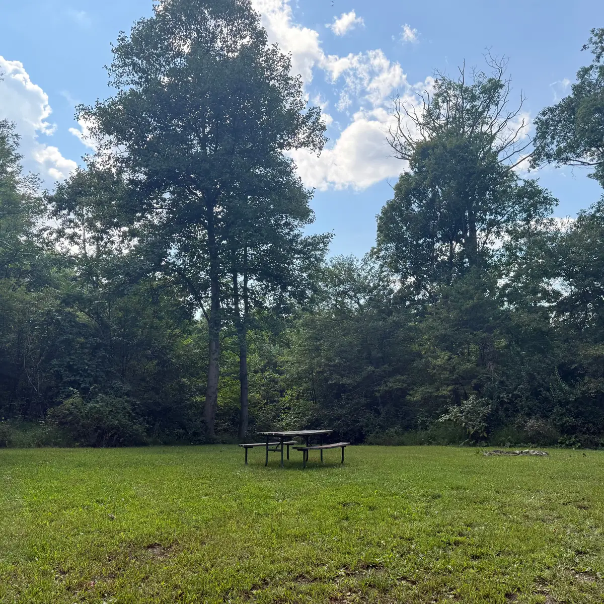 Campsite 56 at Green Ridge State Forest: the picnic table under trees at the edge of the meadow.