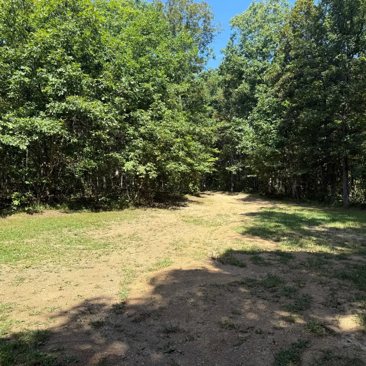 Campsite 6 at Green Ridge State Forest: the sandy, level pitch in bright sun.