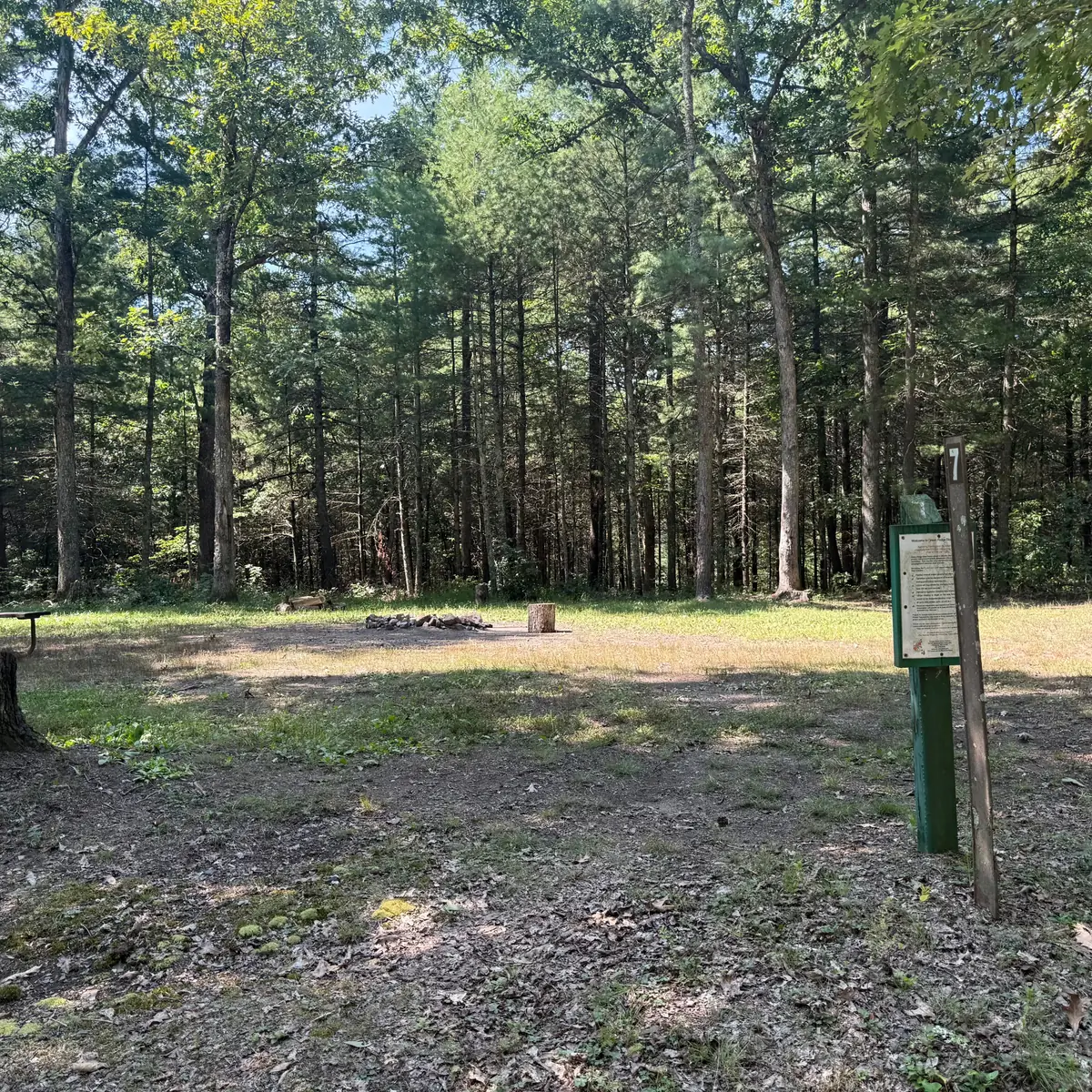Campsite 7 at Green Ridge State Forest: the marker post, fire ring and pines.
