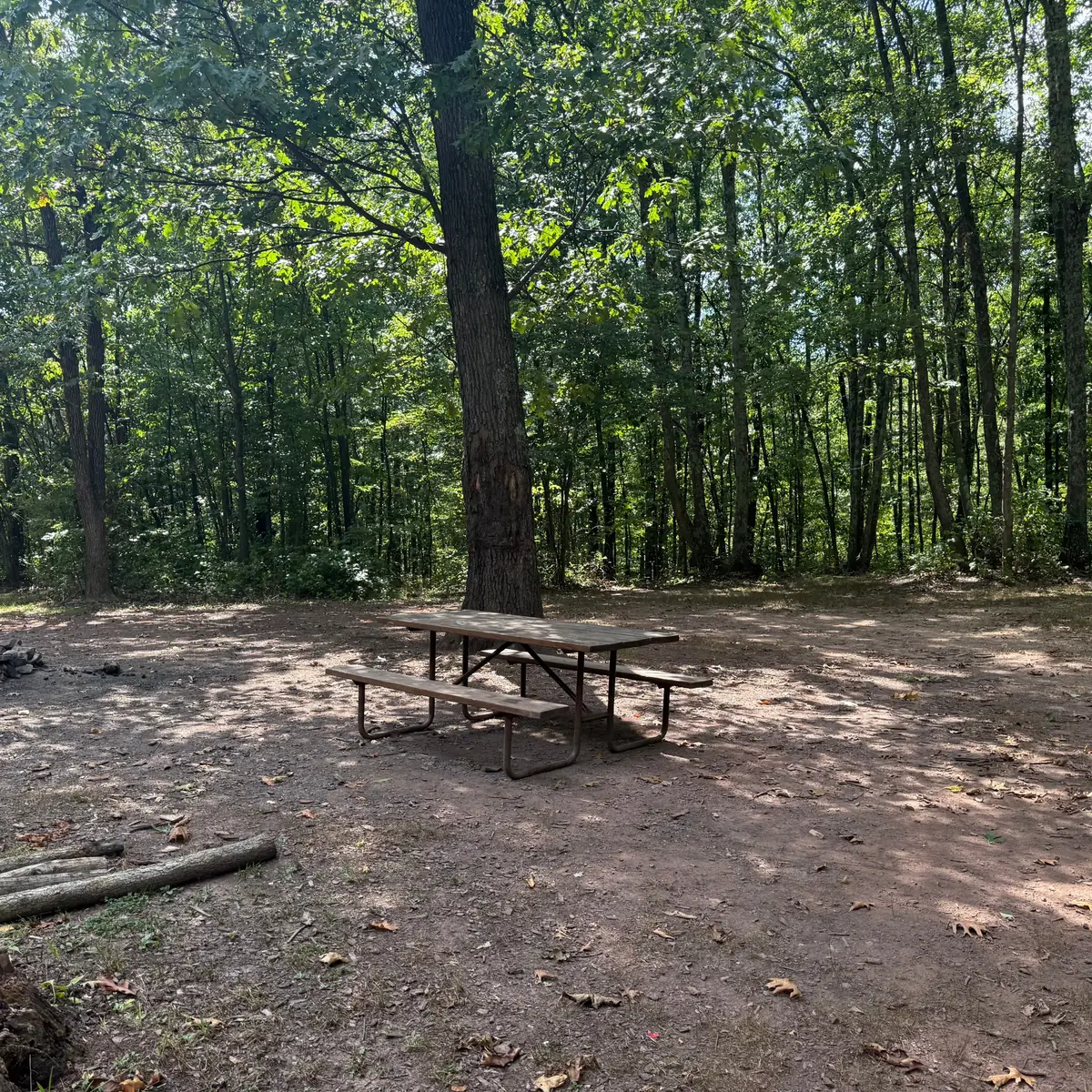 Campsite 70 at Green Ridge State Forest: the picnic table on the pitch under hardwoods.