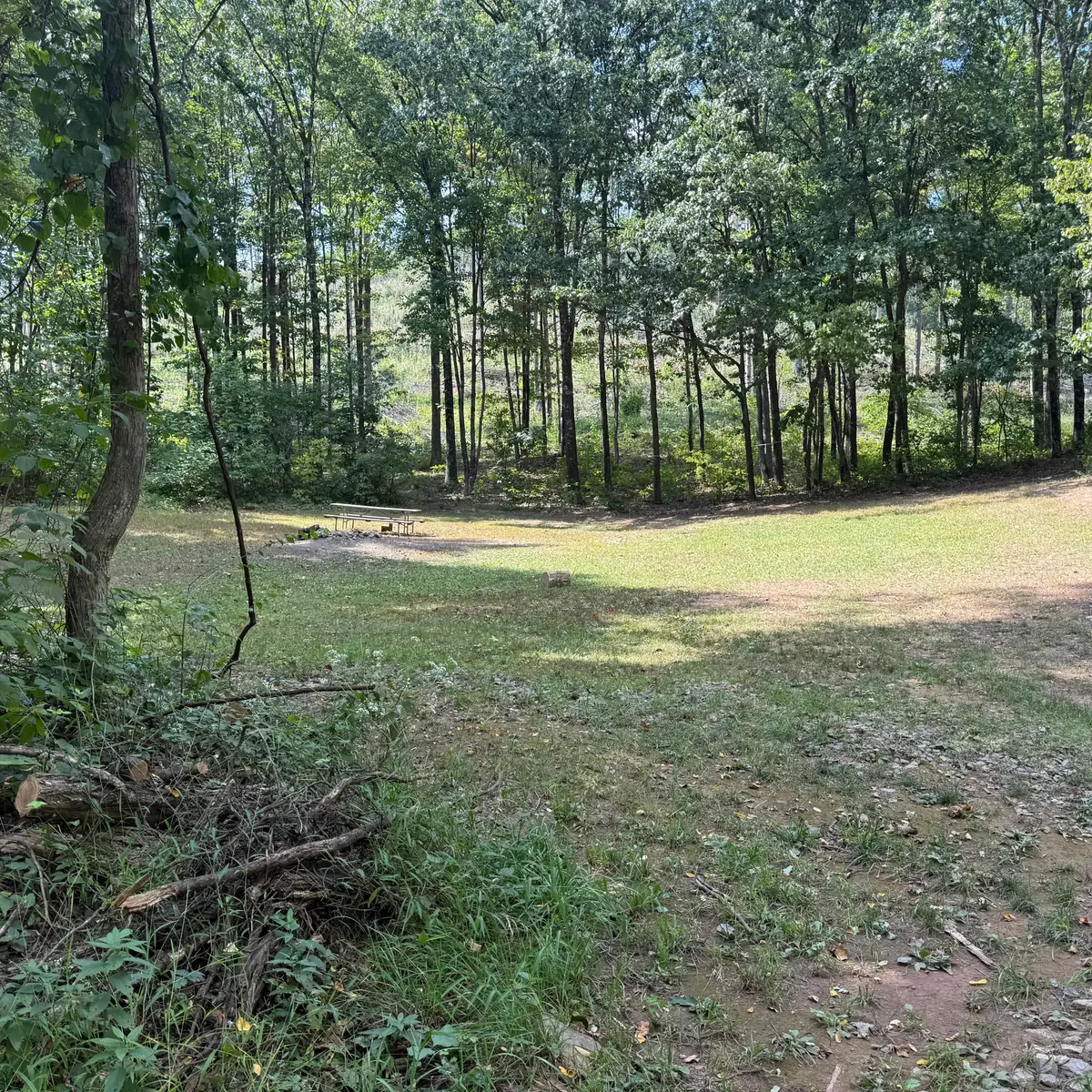 Campsite 73 at Green Ridge State Forest: the clearing on the ridge.