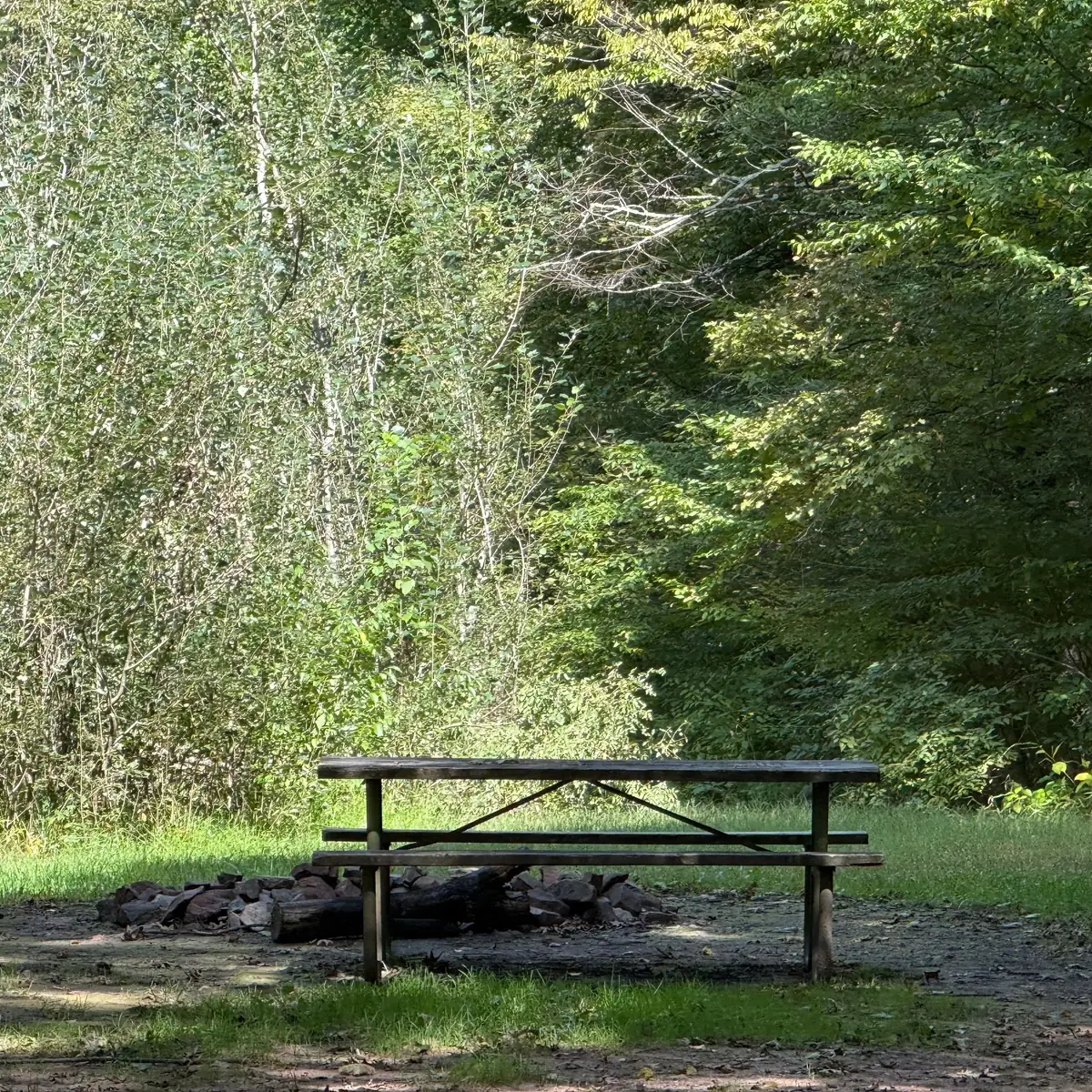 Campsite 77 at Green Ridge State Forest: the picnic table and fire ring at the edge of the trees.
