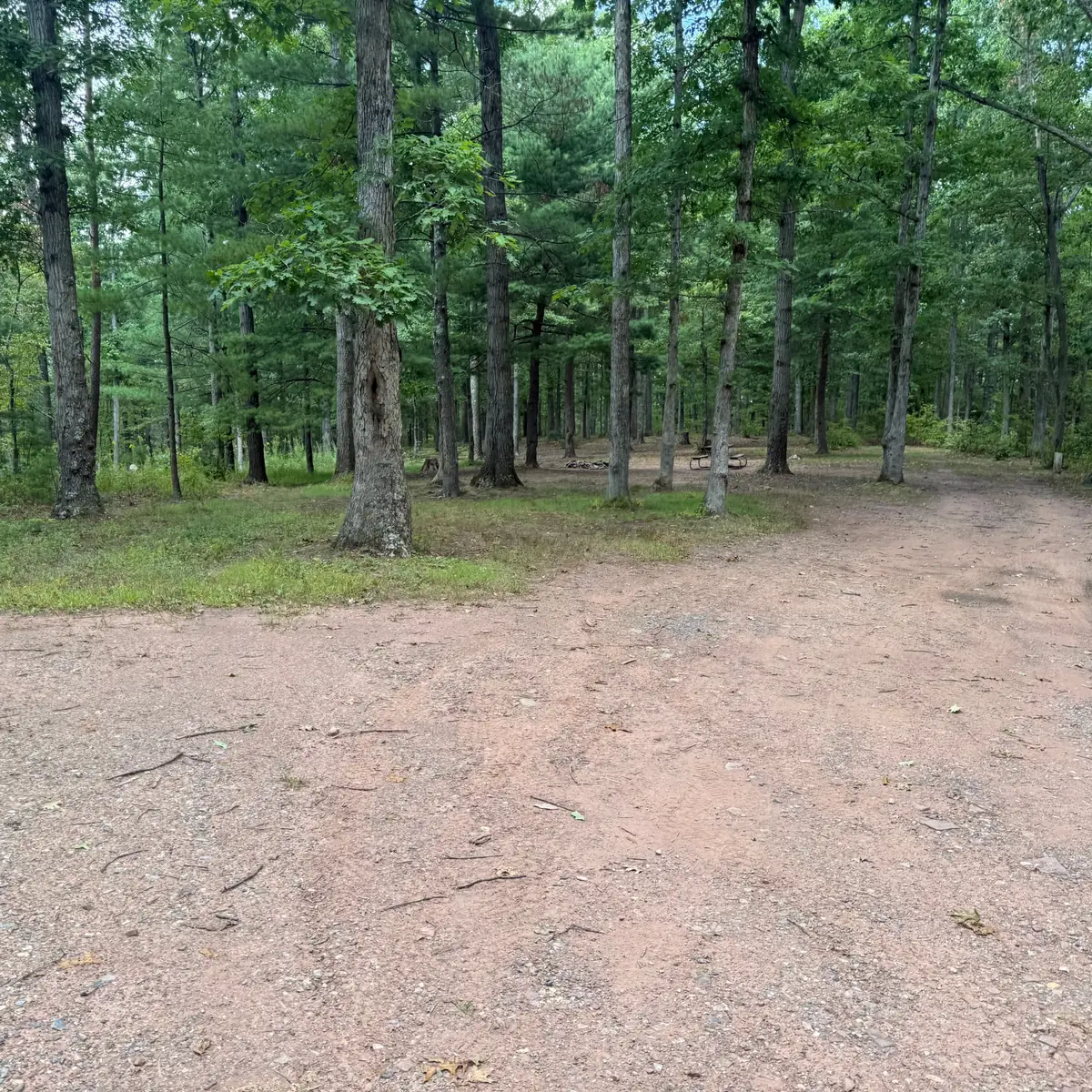Campsite 79 at Green Ridge State Forest: the wide open pitch under tall trees.