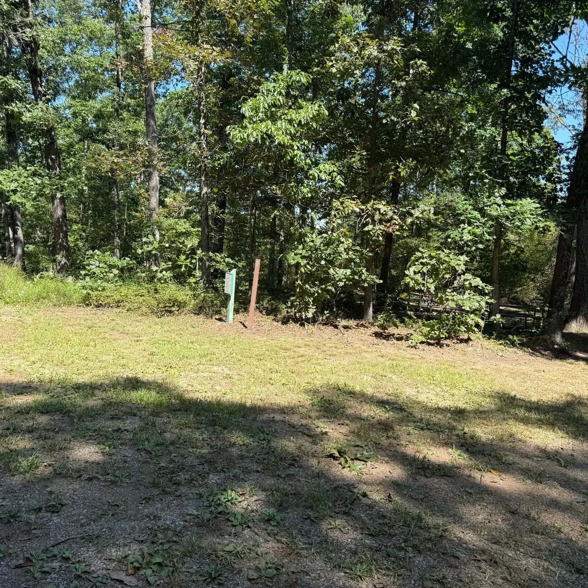 Campsite 8 at Green Ridge State Forest: the clearing, with the site post at its edge.