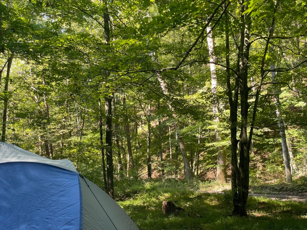Dome tent at a wooded campsite: sun through the canopy over grass and understory